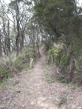 登山步道 攝影：郭香妙