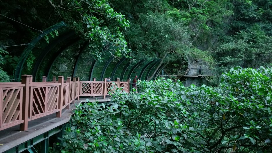 小錐麓步道 攝影：Eva隨手拍