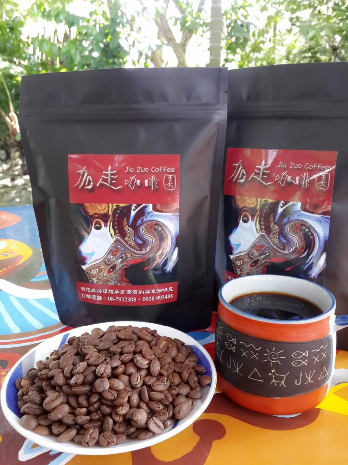 加走咖啡自種自產的咖啡豆 攝影：加走咖啡 提供