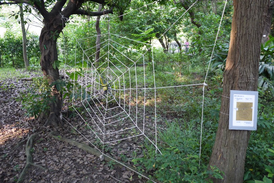 鳥松濕地公園 攝影：三井