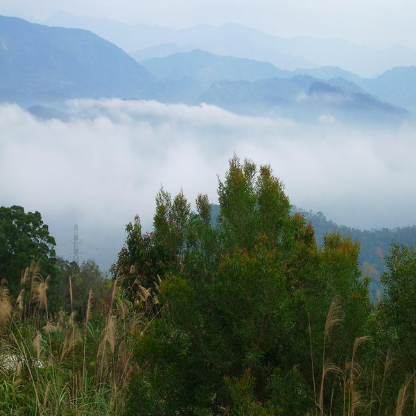 八角崠山 攝影：老山羊 - 林文智