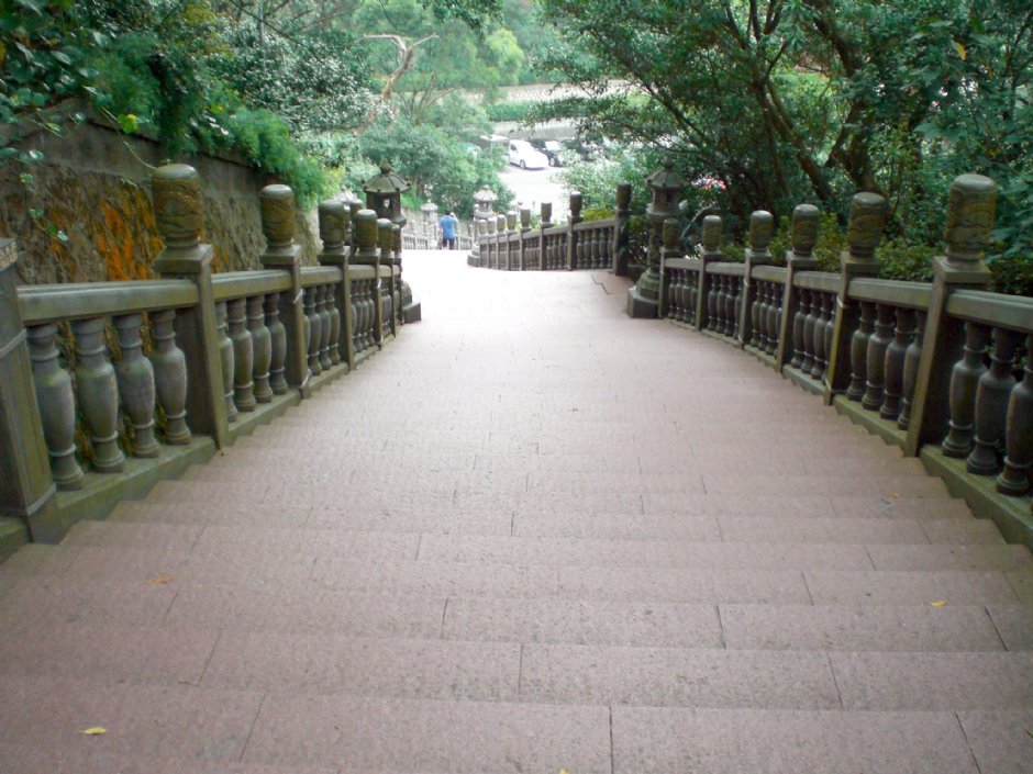 綠蔭步道 攝影：amo