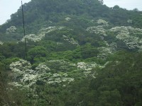 大艽芎古道<br/> 攝影：xcatx