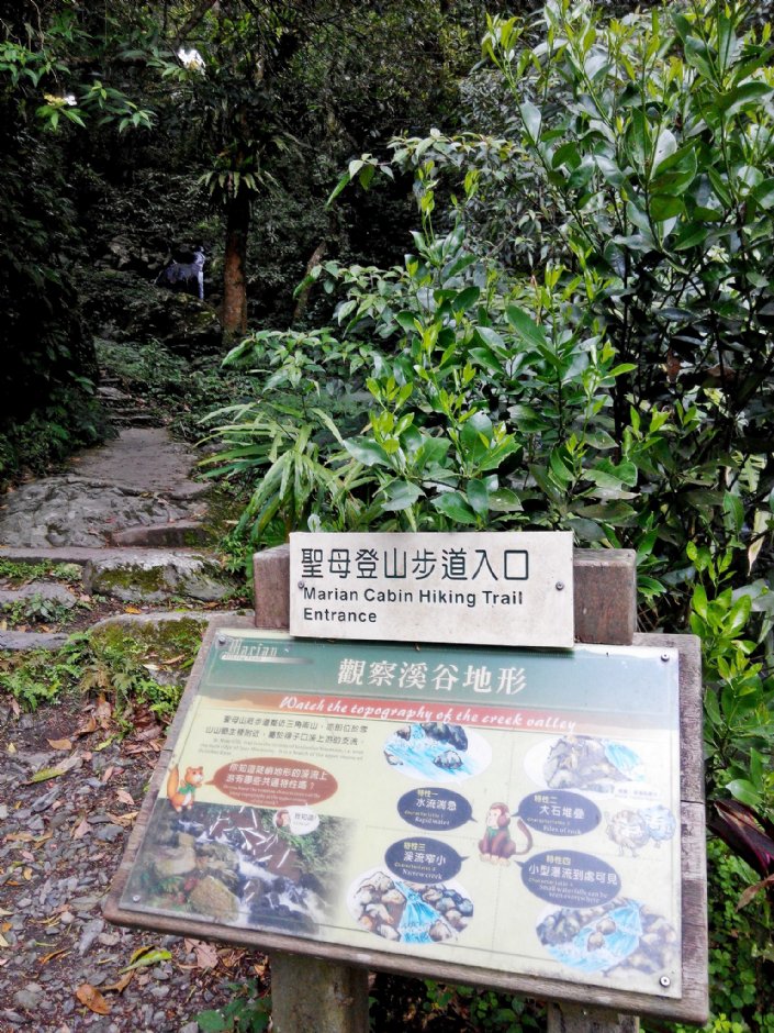 聖母登山步道入口 攝影：Lu