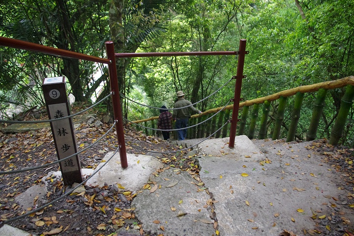 森林步道 攝影：Eva隨手拍