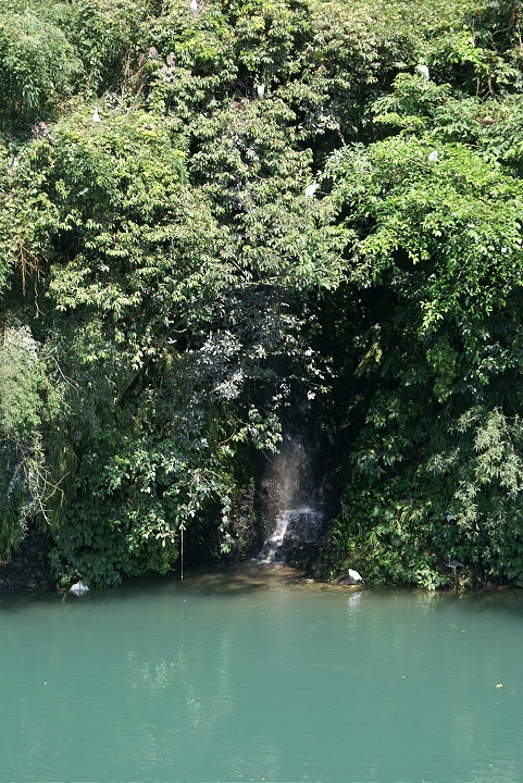 野生動物棲息處 攝影：Eva隨手拍