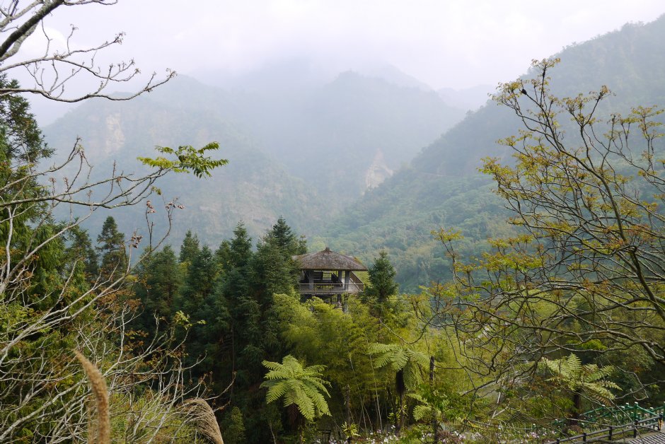 鳳凰谷鳥園觀景亭 攝影：三井