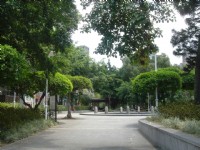 北投公園<br/> 攝影：陳美吟