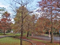 張公圍親水公園<br/> 攝影：Eva隨手拍