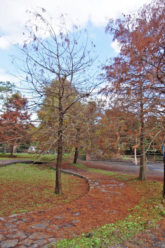 張公圍親水公園 攝影：Eva隨手拍