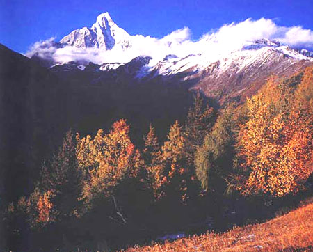 金秋時節的四姑娘山 攝影：四川旅遊信息網