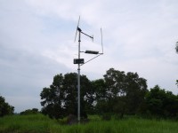 台南白河蓮花公園<br/> 攝影：三井