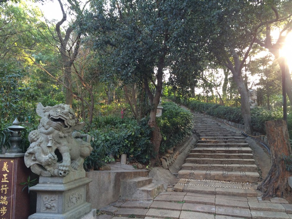 楊梅貴山公園 攝影：Leon Tsai