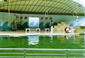 海獅表演2 攝影：呂玫瑢