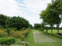 知卡宣森林公園<br/> 攝影：Eva隨手拍