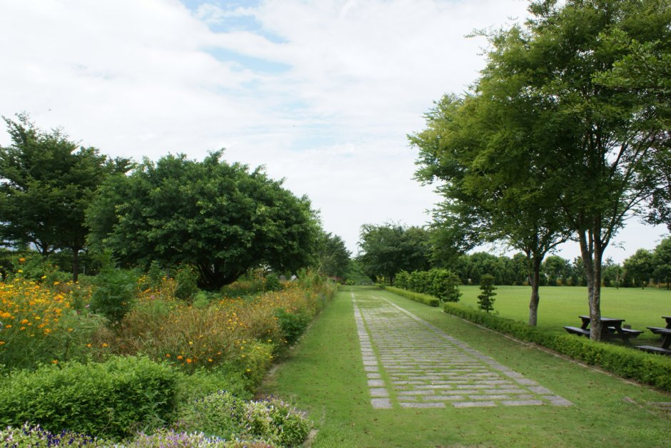 知卡宣森林公園 攝影：Eva隨手拍