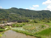 后湖湿地-同心池<br/> 摄影：陳美吟