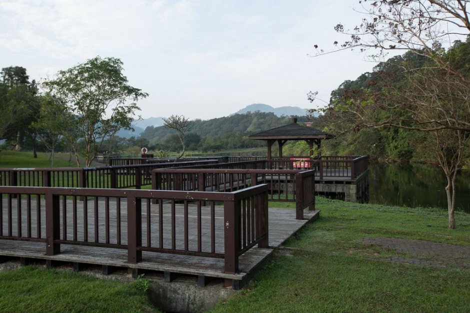 公園木棧步道 攝影：桃園市政府觀光旅遊局 提供