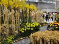 花博爭艷館-競花藝術(特展與花卉競賽)<br/> 攝影：amo