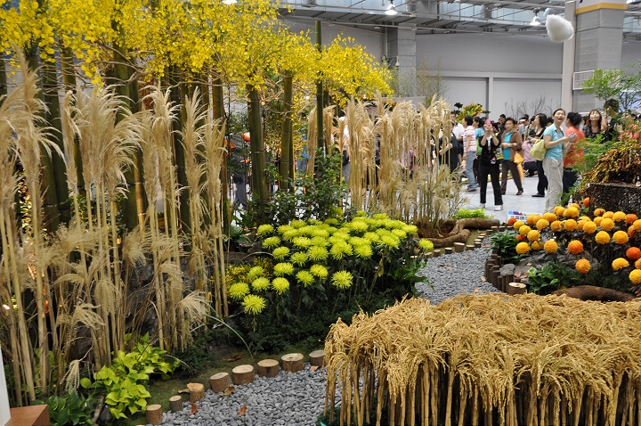 花博爭艷館-競花藝術(特展與花卉競賽) 攝影：amo