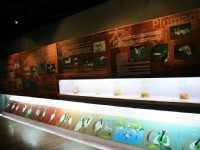 生態展示館有許多黑面琵鷺介紹<br/> 攝影：照片來源_台南旅遊網
