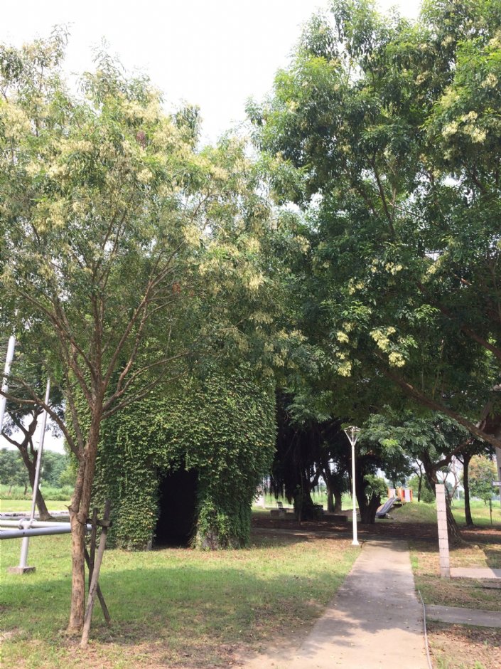 寶隆紙廠 攝影：Eva隨手拍