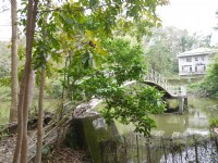 新化植物园浺瀜池<br/> 摄影：旅遊王攝影組