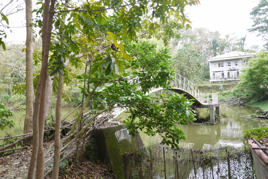 新化植物园浺瀜池 摄影：旅遊王攝影組