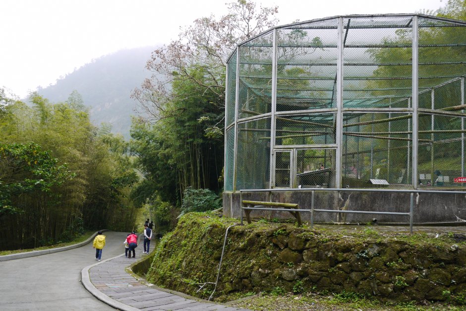 鳳凰谷水鳥園 攝影：三井