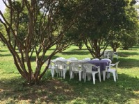 嘉寶果農場<br/> 攝影：果寶歡酵觀光工廠