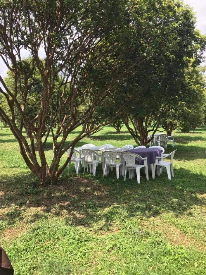 嘉寶果農場 攝影：果寶歡酵觀光工廠