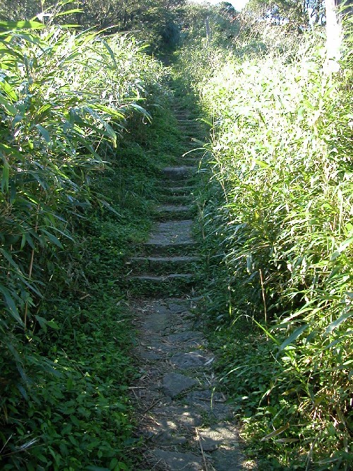 大屯山步道 攝影：專拍風景照-阿閔
