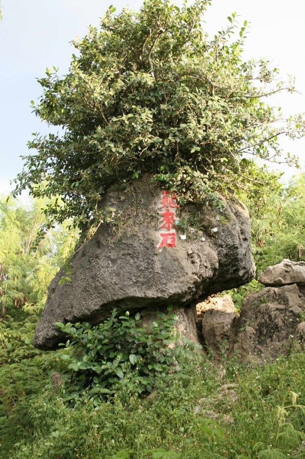 飛來石 攝影：老山羊部落格