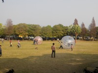 古坑綠色隧道景觀公園<br/> 攝影：Lu