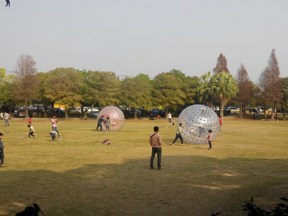 古坑綠色隧道景觀公園 攝影：Lu