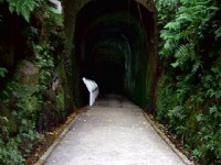 獅球嶺隧道<br/> 攝影：Eva隨手拍