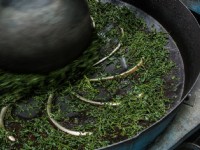 福源茶廠<br/> 攝影：桃園市政府觀光旅遊局 提供
