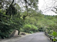 仁山植物園步道<br/> 攝影：Eva隨手拍