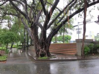 台南公園<br/> 攝影：Bruce