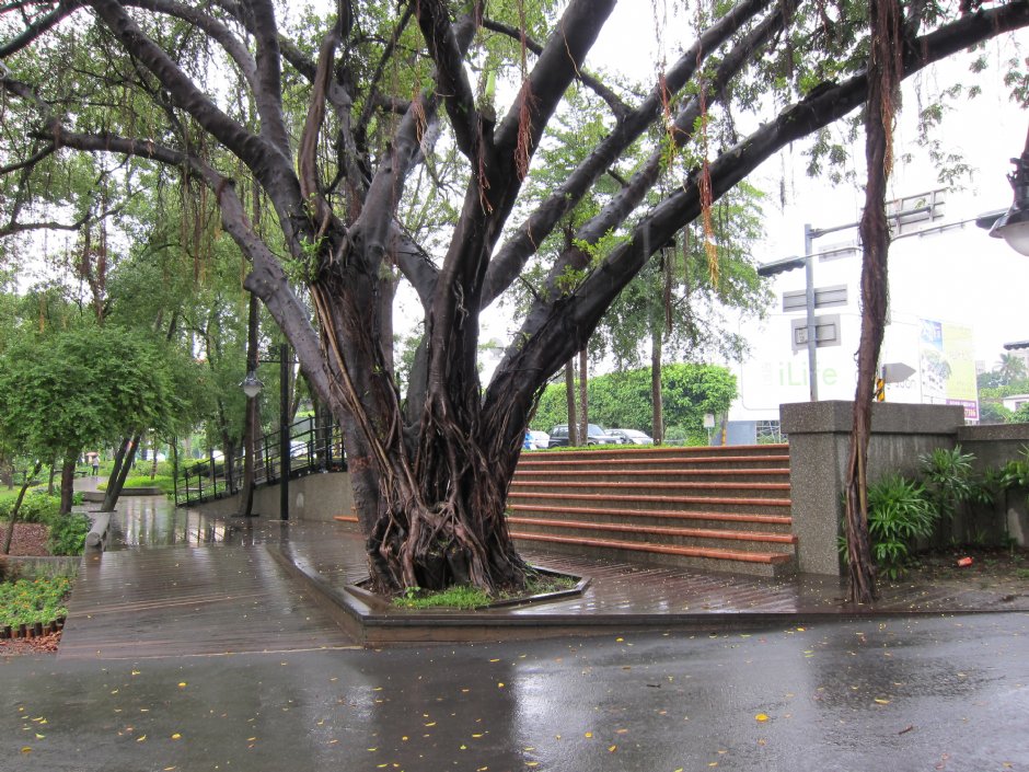 台南公園 攝影：Bruce