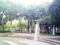 林森公園<br/> 攝影：Eva隨手拍