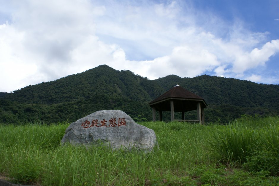 鬯蕨生態區 攝影：Eva隨手拍