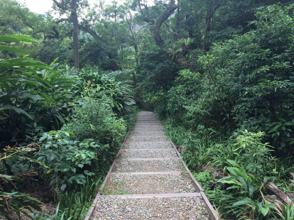 福州山公園 攝影：Eva隨手拍