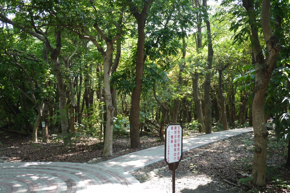 原生植物園 攝影：三井