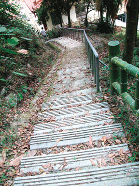 登山步道 攝影：雲林縣政府