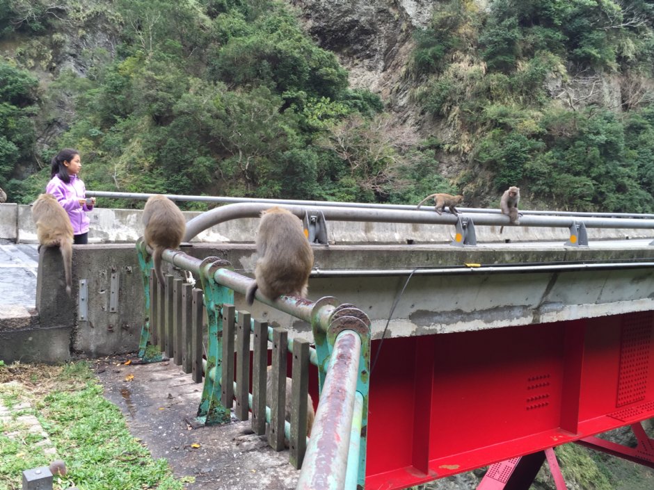 登仙橋休憩區 攝影：旅遊王攝影組