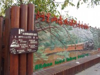 阿里山森林鐵路車庫園區<br/> 攝影：Eva隨手拍