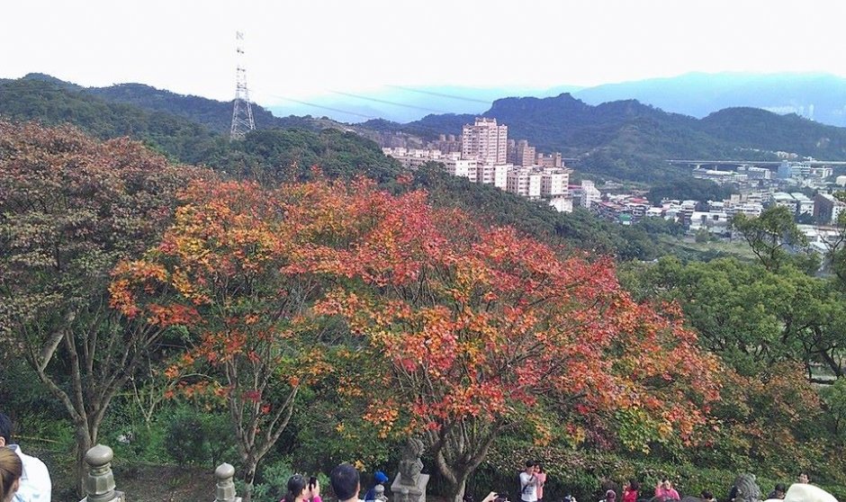 拱北殿楓葉 攝影：Eva隨手拍