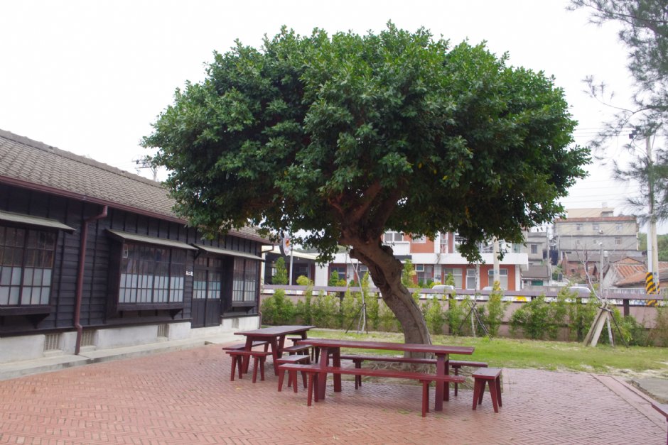 山腳國小日治後期宿舍群 攝影：Eva隨手拍