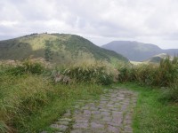 七星山東峰步道<br/> 攝影：Eva隨手拍